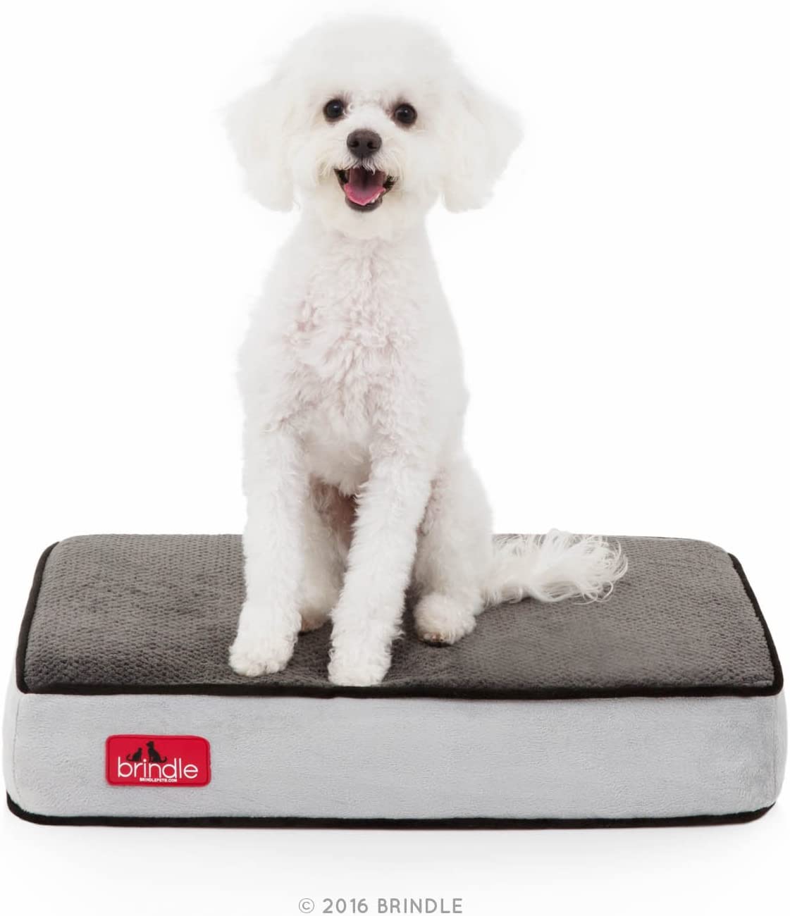 5 of the Best Dog Beds for Westies Reviews & Buying Guide