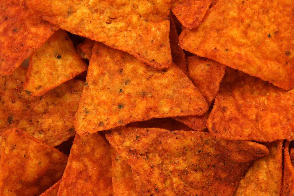 are doritos safe for dogs