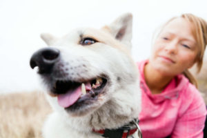 Akita with owner
