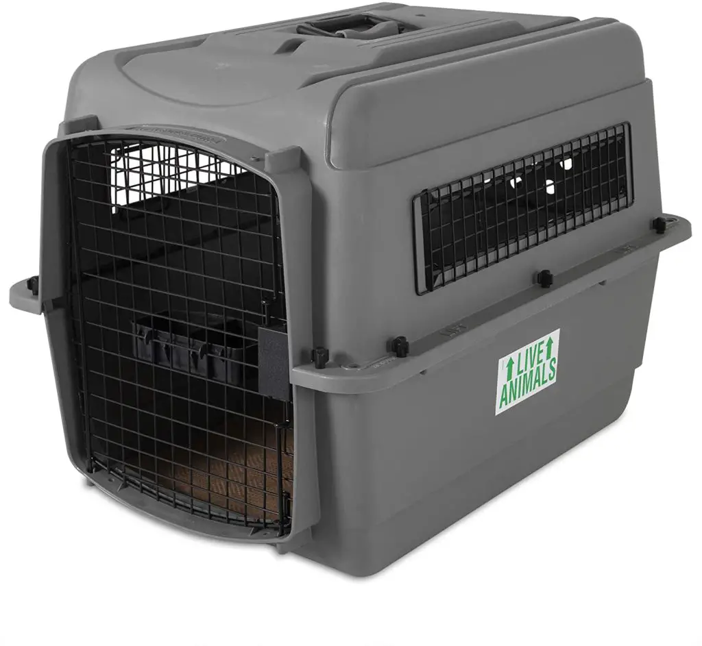 Best Dog Crates for Westies What Size, Top Picks & More