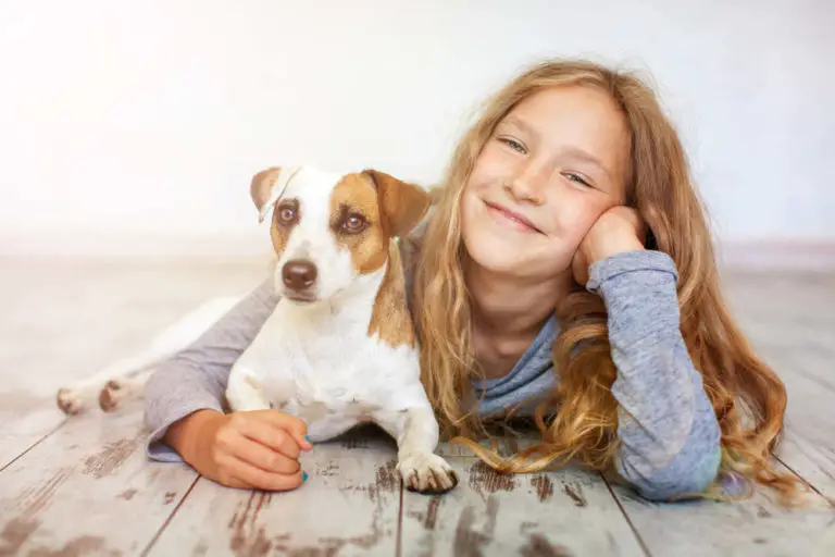 Are Jack Russells Good With Kids? (Concerns + Tips to Help)