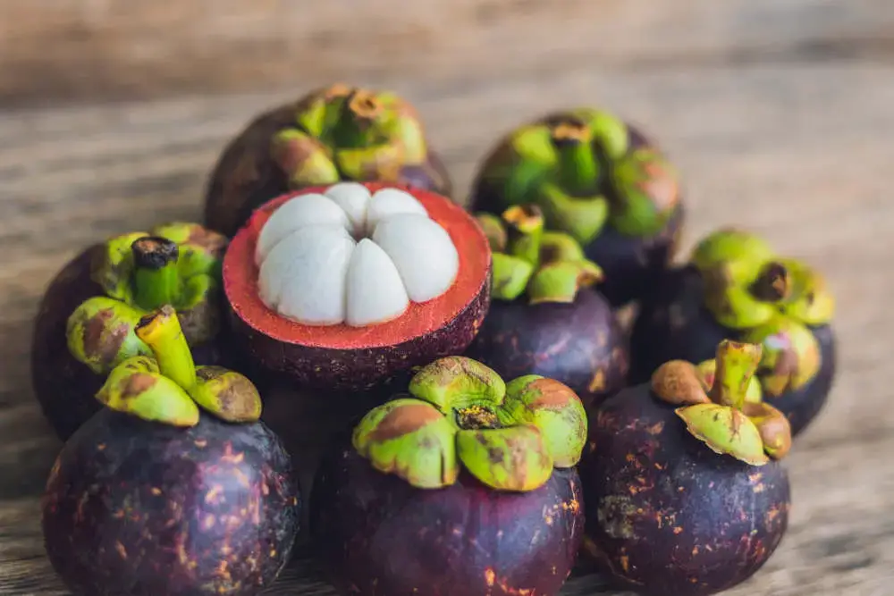 Mangosteen