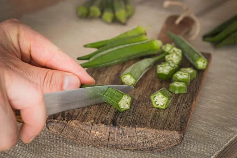 Can Dogs Eat Okra? Everything You Need to Know